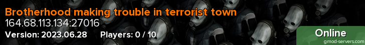 Brotherhood making trouble in terrorist town