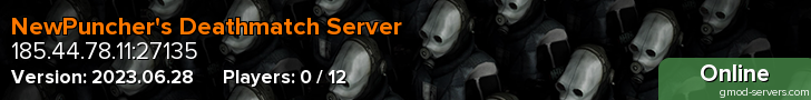 NewPuncher's Deathmatch Server