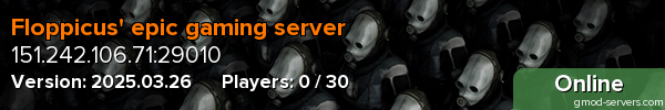 Floppicus' epic gaming server