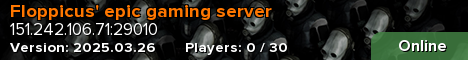 Floppicus' epic gaming server